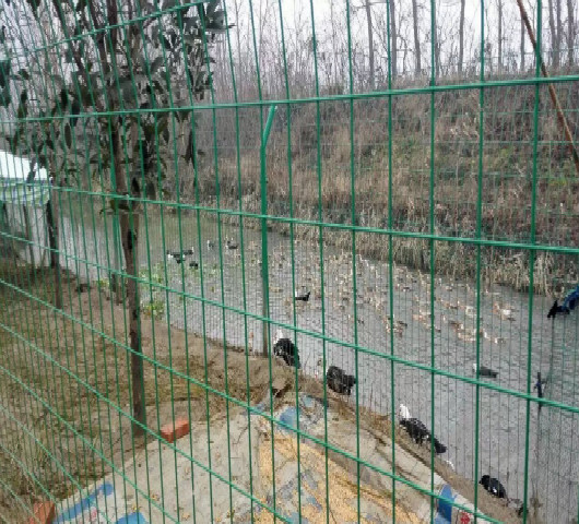 河南水庫護欄網優