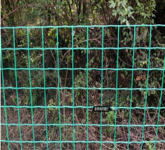 黃岡養殖網廠家批