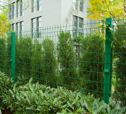 沌口小區周邊綠化