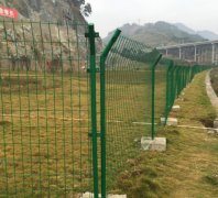 “守護之路的堅毅衛士”——武漢交通護