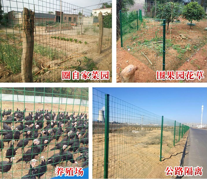 1535526900570031.png 1535526900570031.png