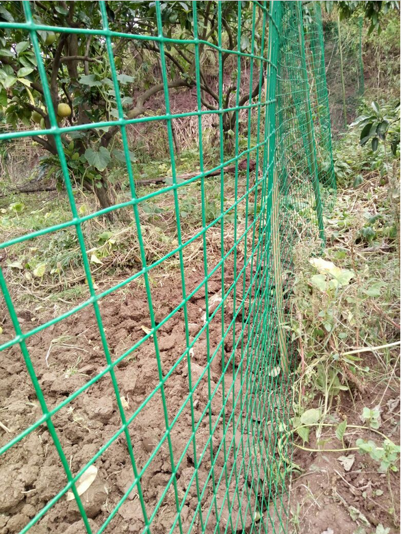 1535528066295444.png 1535528066295444.png