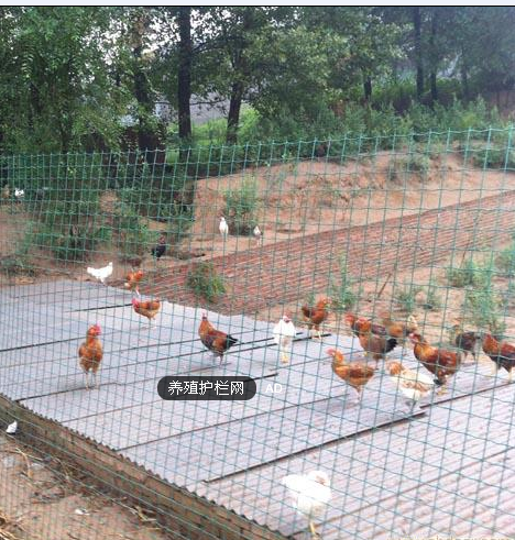 1536116791648989.png 1536116791648989.png